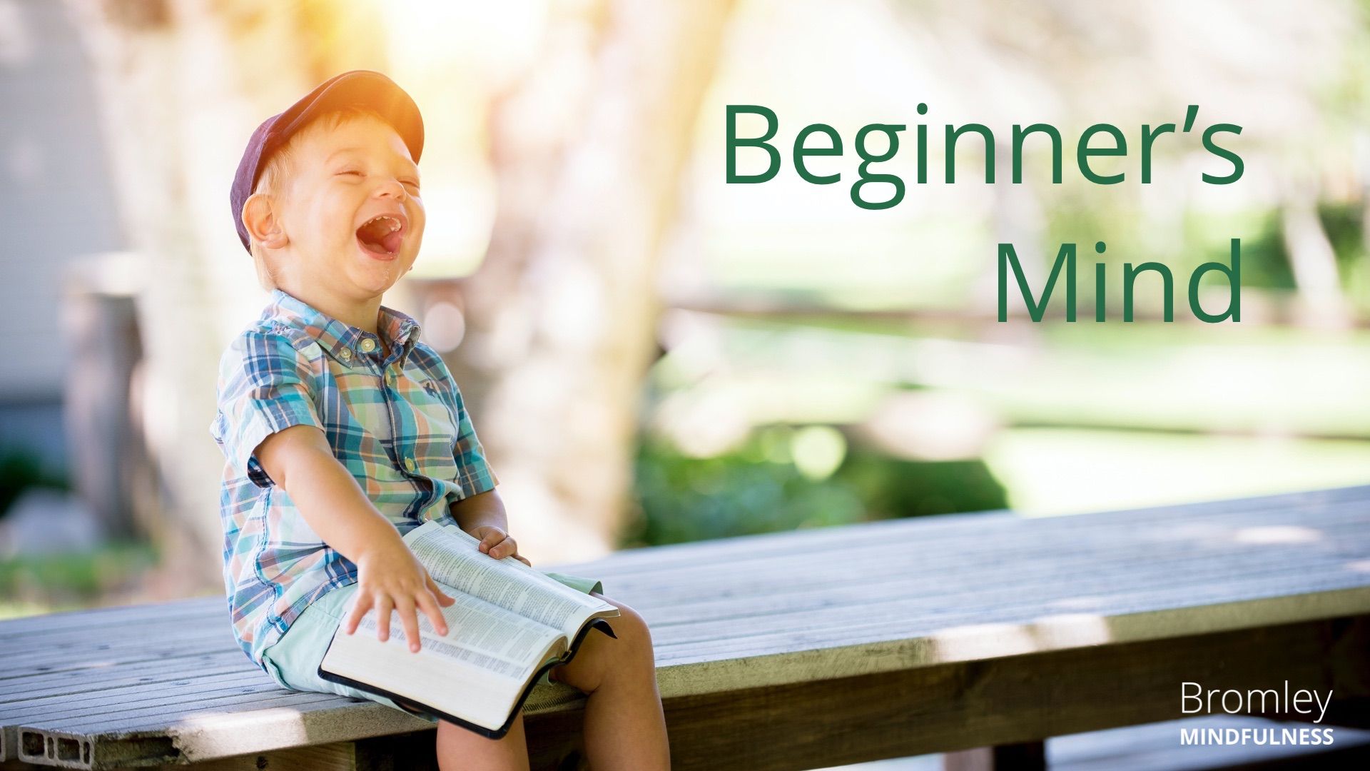 Beginner's Mind