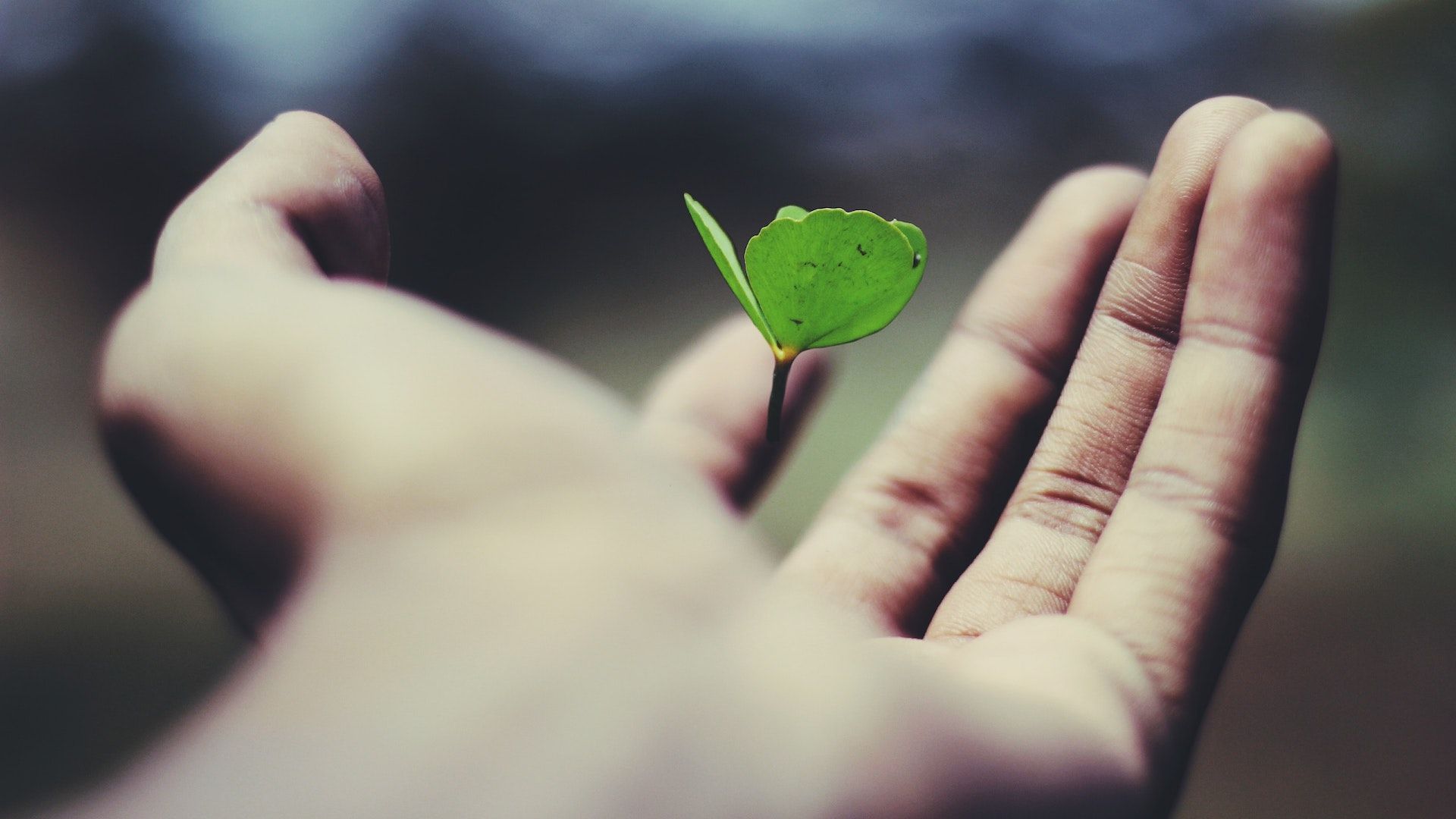 An Appreciation Meditation - Podcast