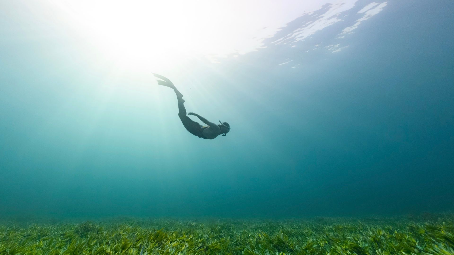 The Deepening Course