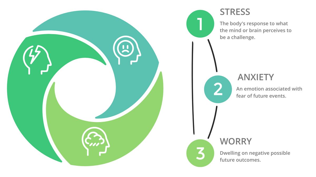 Breaking the Cycle of Anxiety, Worry and Stress with Meditation