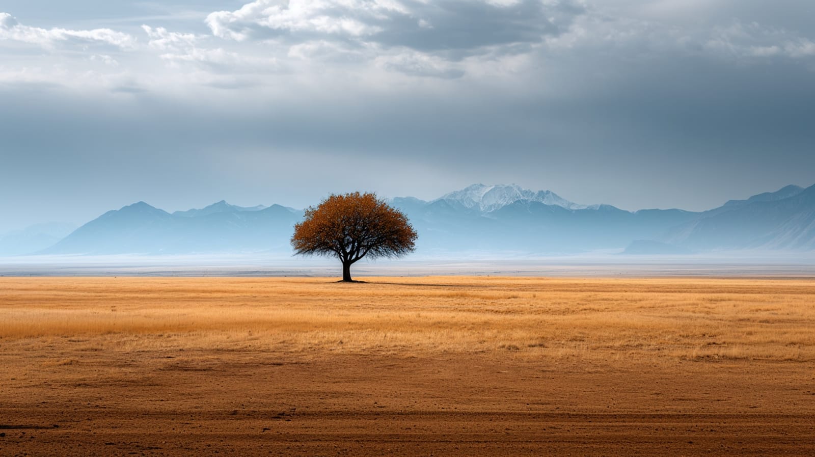 The Keys to Resilience - Saturday Morning Meditation Class - 10 January 2026