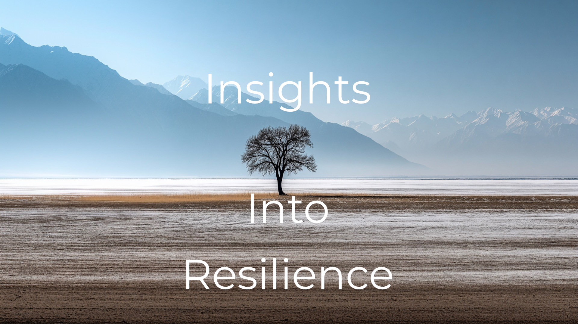 Insights Into Resilience - Weekly Insight 22 March 2026