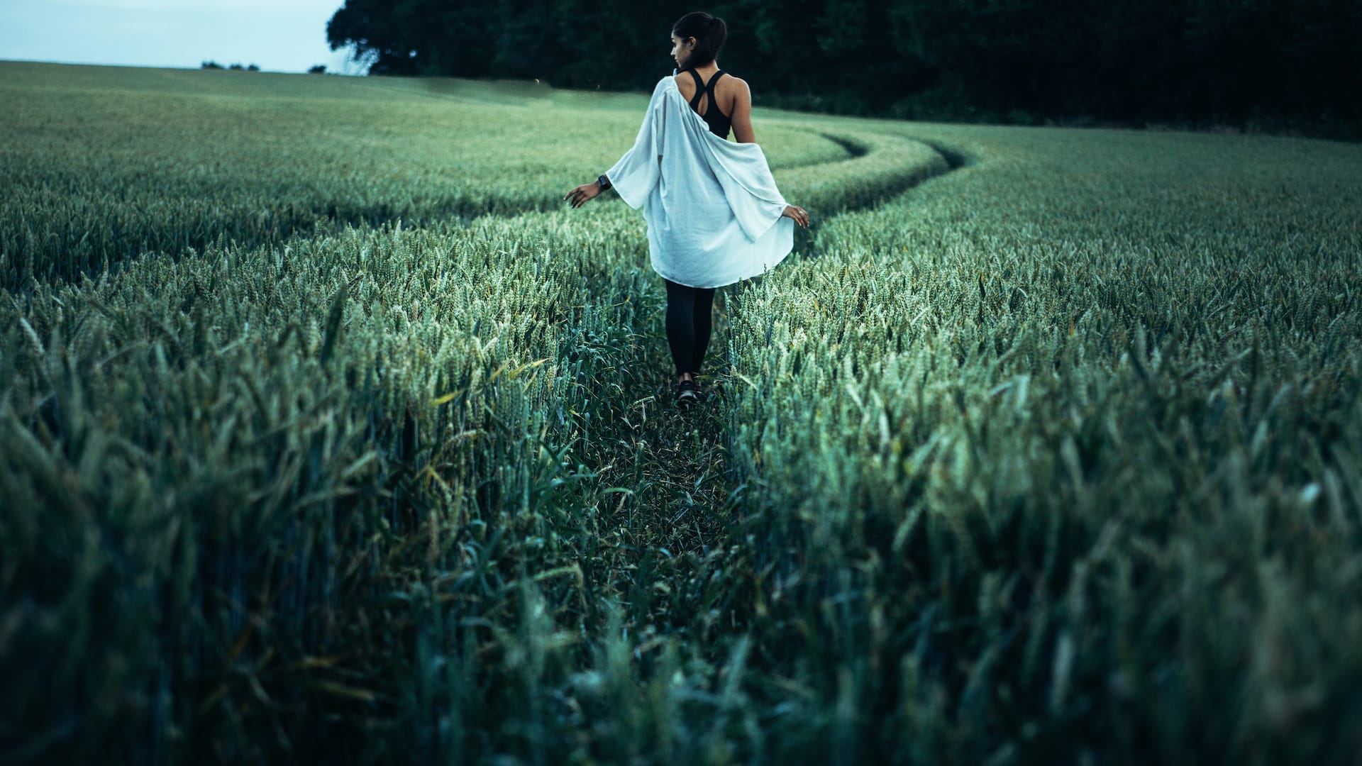 What is a Healthy Mind?