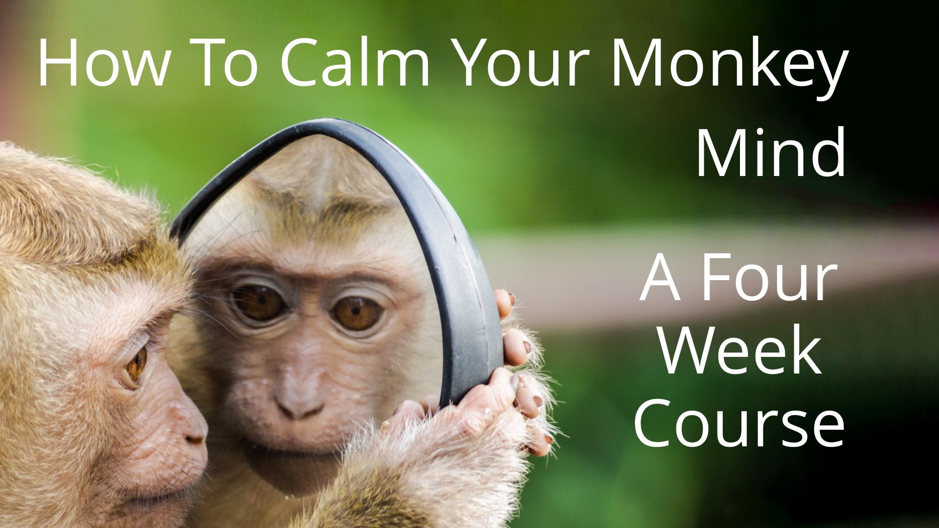 Calming The Monkey Mind - A 4-week course