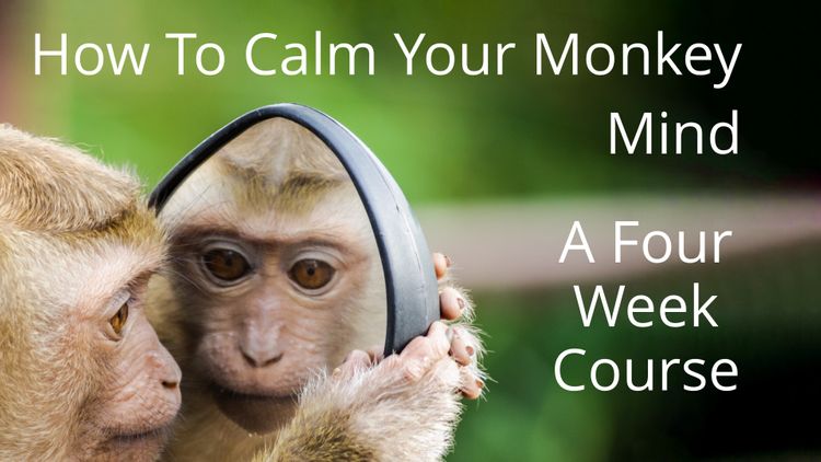 Calming The Monkey Mind  Session 2. - A Calm Mind Framework
