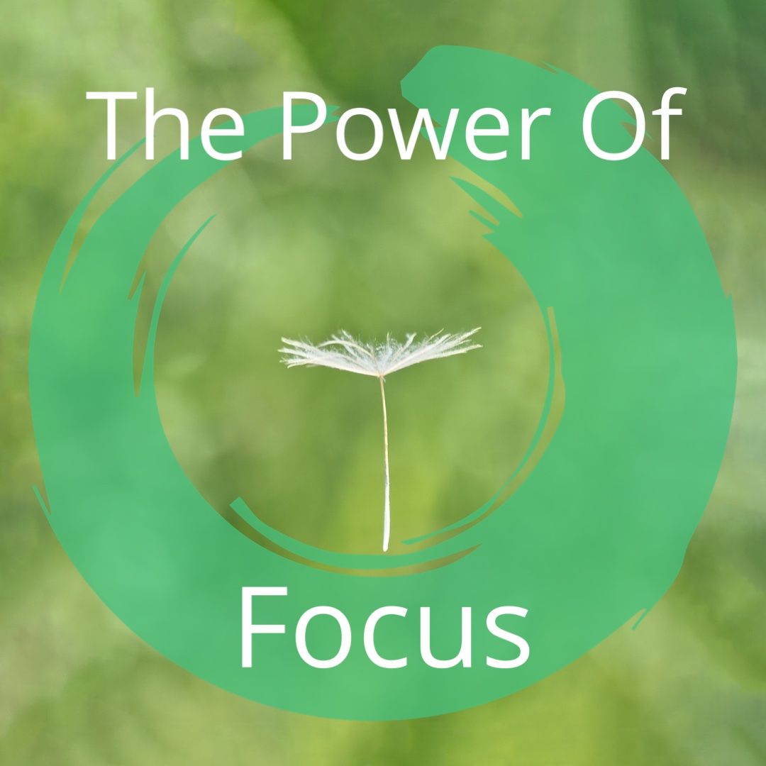 The Power of Focus