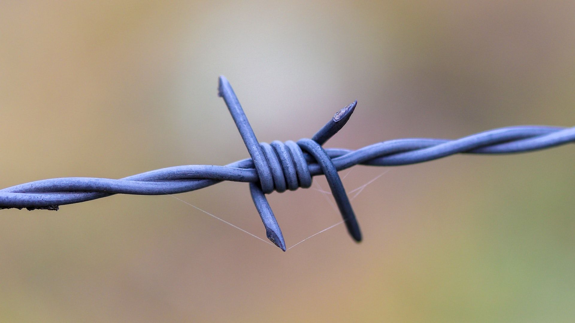 Social barriers to Happiness and Connection