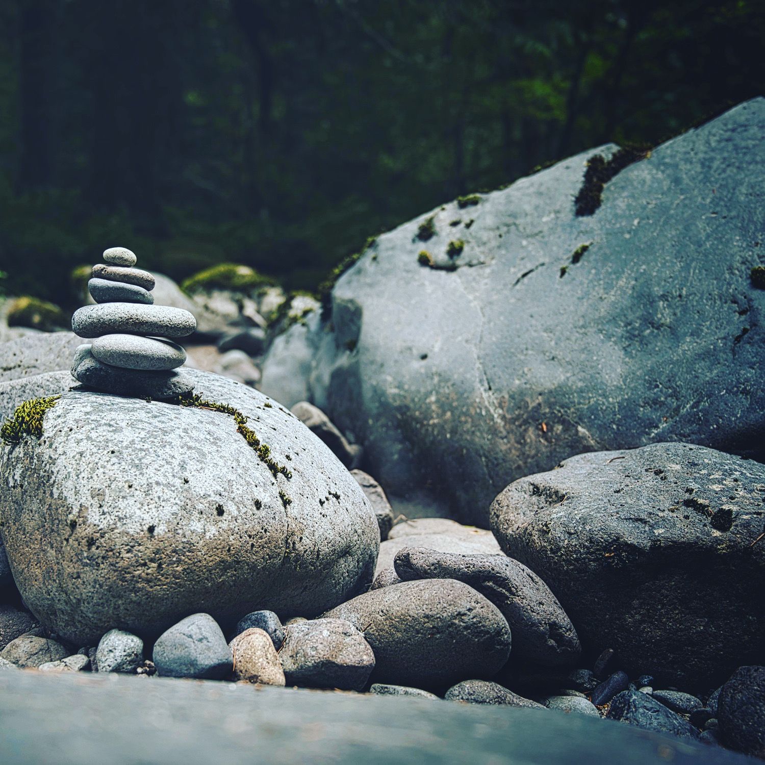 Finding the Calmness and Stillness in the Mind 12 July 2022